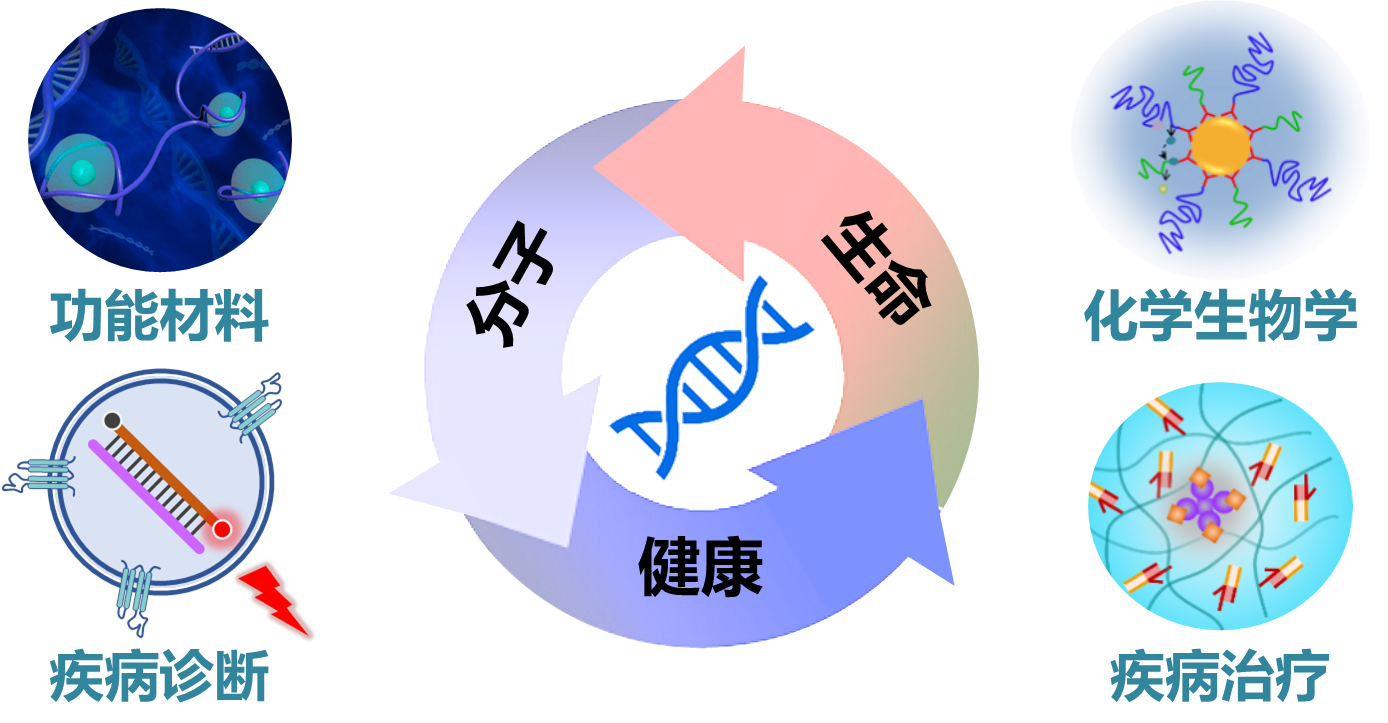zhuye-CH20240201